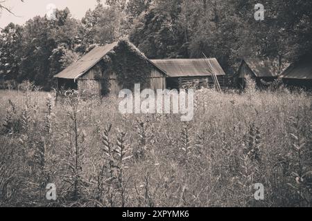 Propriété abandonnée envahie dans le midwest américain avec effet de filtre vintage Banque D'Images
