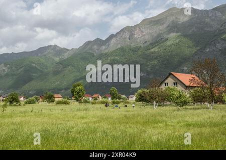 Scènes pastorales dans la zone rurale de Gusinje, Monténégro Banque D'Images