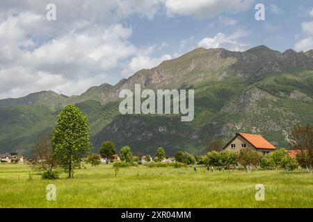 Scènes pastorales dans la zone rurale de Gusinje, Monténégro Banque D'Images