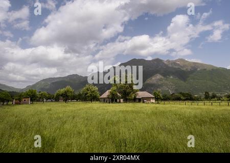 Scènes pastorales dans la zone rurale de Gusinje, Monténégro Banque D'Images