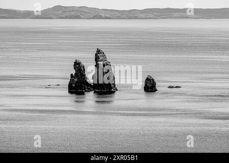 Vue sur les Drongs, un récif rocheux pointu, Braewick, Shetland Banque D'Images