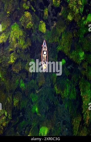 Vue aérienne d'une femme en maillot de bain couchée sur une planche à paddle SUP sur une rivière spectaculaire avec de l'herbe luxuriante se déplaçant dans le courant de la rivière, Novo mesto, Slovénie Banque D'Images