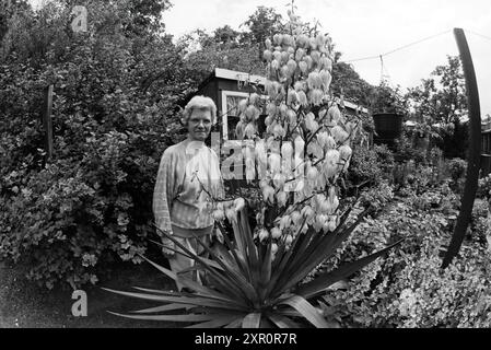 Femme posant dans (propre?) Garden, 00-00-1993, Whizgle Dutch News : des images historiques sur mesure pour l'avenir. Explorez le passé néerlandais avec des perspectives modernes grâce à des images d'agences néerlandaises. Concilier les événements d'hier avec les perspectives de demain. Embarquez pour un voyage intemporel avec des histoires qui façonnent notre avenir. Banque D'Images