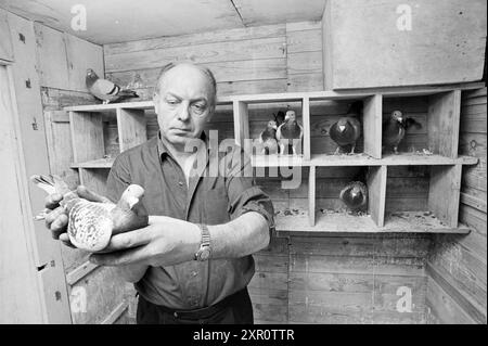 Homme dans son pigeon loft, Whizgle Dutch News : des images historiques sur mesure pour l'avenir. Explorez le passé néerlandais avec des perspectives modernes grâce à des images d'agences néerlandaises. Concilier les événements d'hier avec les perspectives de demain. Embarquez pour un voyage intemporel avec des histoires qui façonnent notre avenir. Banque D'Images