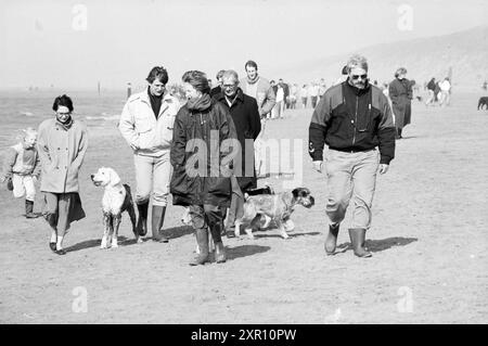 Plage animée Zandvoort, plage et plages, Zandvoort, 19-03-1988, Whizgle Dutch News : images historiques sur mesure pour l'avenir. Explorez le passé néerlandais avec des perspectives modernes grâce à des images d'agences néerlandaises. Concilier les événements d'hier avec les perspectives de demain. Embarquez pour un voyage intemporel avec des histoires qui façonnent notre avenir. Banque D'Images
