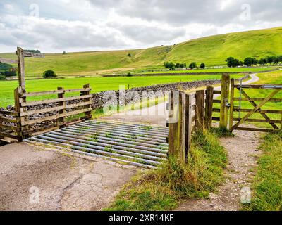 Sentier rural pittoresque avec grille de bétail et porte en bois menant à travers des champs verdoyants et des collines ondoyantes. Banque D'Images