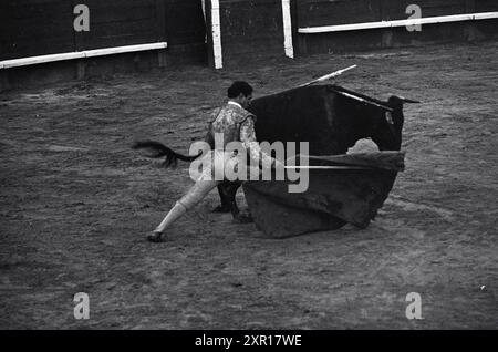 Tauromachie, Whizgle Dutch News : des images historiques sur mesure pour l'avenir. Explorez le passé néerlandais avec des perspectives modernes grâce à des images d'agences néerlandaises. Concilier les événements d'hier avec les perspectives de demain. Embarquez pour un voyage intemporel avec des histoires qui façonnent notre avenir. Banque D'Images