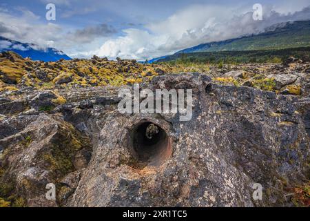 Un tube creux dans un bloc de lave solidifiée est parti après qu'un arbre ait été couvert et brûlé. Banque D'Images