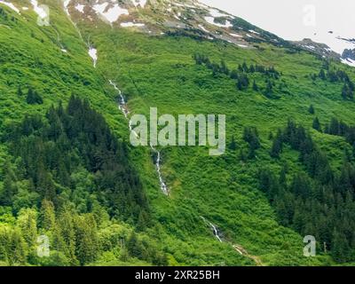 Petite cascade descendant du sommet d'une montagne enneigée avec des forêts verdoyantes et de grands pins. Banque D'Images