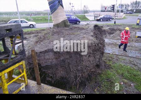 Koningslinde, Vijfhuizen, 20-11-2001, Whizgle Dutch News : des images historiques sur mesure pour l'avenir. Explorez le passé néerlandais avec des perspectives modernes grâce à des images d'agences néerlandaises. Concilier les événements d'hier avec les perspectives de demain. Embarquez pour un voyage intemporel avec des histoires qui façonnent notre avenir. Banque D'Images