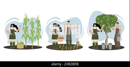 Ensemble d'illustration vectorielle de trois images représentant la récolte de maïs, de carottes et de kiwi. Style plat sur fond blanc. Parfait pour les modèles de saison Illustration de Vecteur