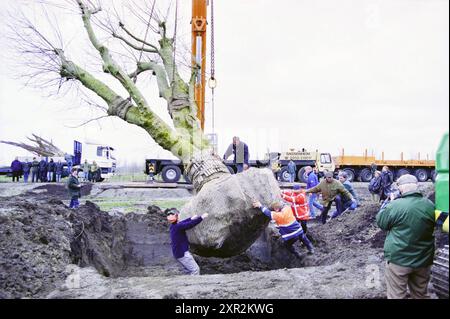 Levage d'arbres sur le site de Floriade, Vijfhuizen, Vijfhuizen, 27-03-2000, Whizgle Dutch News : des images historiques sur mesure pour l'avenir. Explorez le passé néerlandais avec des perspectives modernes grâce à des images d'agences néerlandaises. Concilier les événements d'hier avec les perspectives de demain. Embarquez pour un voyage intemporel avec des histoires qui façonnent notre avenir. Banque D'Images