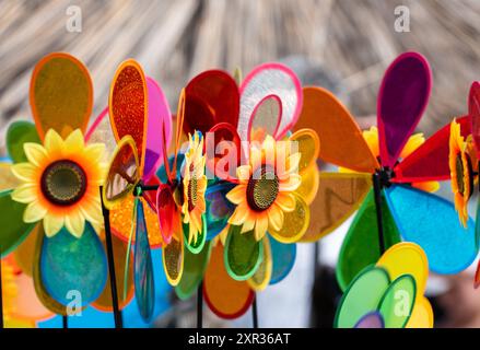 Jouets en plastique Pinwheel en formes et couleurs de fleurs : soufflé par le vent et tournant autour. Banque D'Images