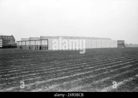 Construction d'un hangar à bulbes, travaux, 22-02-1968, Whizgle Dutch News : des images historiques sur mesure pour l'avenir. Explorez le passé néerlandais avec des perspectives modernes grâce à des images d'agences néerlandaises. Concilier les événements d'hier avec les perspectives de demain. Embarquez pour un voyage intemporel avec des histoires qui façonnent notre avenir. Banque D'Images