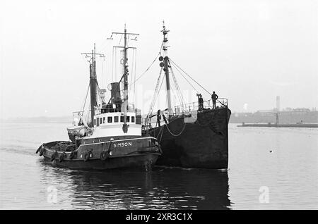 Tugboat Simson amène le navire de pêche Kingbank dans le port d'IJmuiden., IJmuiden, pays-Bas, Whizgle Dutch News : images historiques sur mesure pour l'avenir. Explorez le passé néerlandais avec des perspectives modernes grâce à des images d'agences néerlandaises. Concilier les événements d'hier avec les perspectives de demain. Embarquez pour un voyage intemporel avec des histoires qui façonnent notre avenir. Banque D'Images