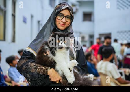 Ahmedabad, Gujarat, Inde. 8 août 2024. La Journée internationale du chat est célébrée chaque année le 8 août. C’est une occasion spéciale dédiée à célébrer et honorer nos amis félins bien-aimés, et à promouvoir l’adoption, l’hébergement et la protection des chats dans le monde entier. (Crédit image : © Saurabh Sirohiya/ZUMA Press Wire) USAGE ÉDITORIAL SEULEMENT! Non destiné à UN USAGE commercial ! Banque D'Images