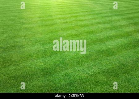 Une vue de paysage d'une grande parcelle d'herbe verte fraîchement coupée, saine et tondue en damier. Banque D'Images