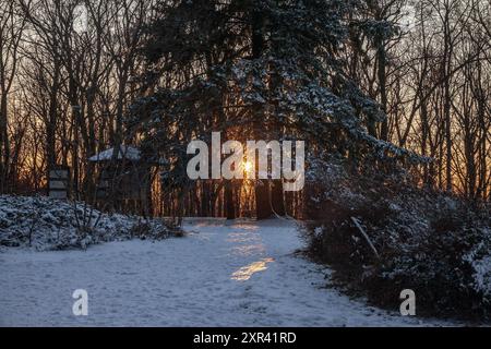 Un beau coucher de soleil hivernal à Fruska Gora, en Serbie, avec des arbres enneigés créant un paysage serein et pittoresque. La photographie capture le pois Banque D'Images