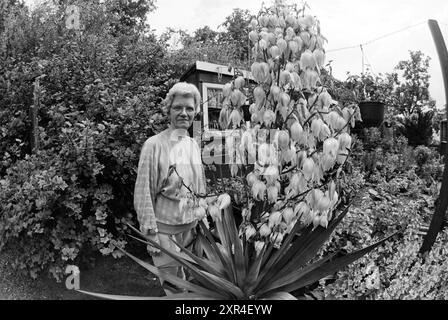 Femme posant dans (propre?) Garden, 00-00-1993, Whizgle Dutch News : des images historiques sur mesure pour l'avenir. Explorez le passé néerlandais avec des perspectives modernes grâce à des images d'agences néerlandaises. Concilier les événements d'hier avec les perspectives de demain. Embarquez pour un voyage intemporel avec des histoires qui façonnent notre avenir. Banque D'Images