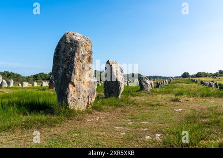 Alignements mégalithiques de Carnac en France Banque D'Images