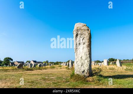 Alignements mégalithiques de Carnac en France Banque D'Images