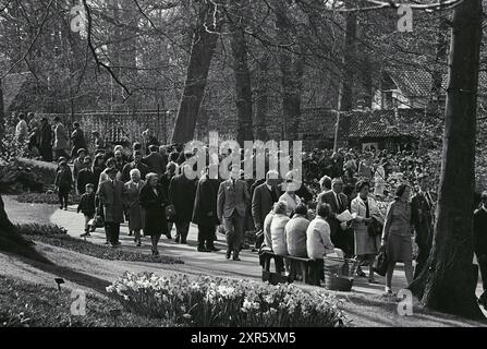 Busy Keukenhof, domaine de la Fondation Keukenhof à lisse, Stationsweg, 14-04-1968, Whizgle Dutch News : des images historiques sur mesure pour l'avenir. Explorez le passé néerlandais avec des perspectives modernes grâce à des images d'agences néerlandaises. Concilier les événements d'hier avec les perspectives de demain. Embarquez pour un voyage intemporel avec des histoires qui façonnent notre avenir. Banque D'Images