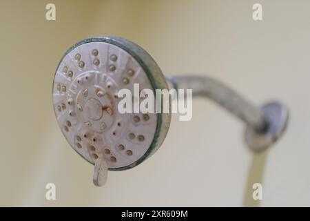 La pomme de douche était moussue Banque D'Images