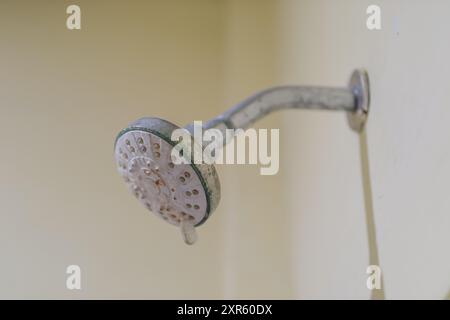 La pomme de douche était moussue Banque D'Images