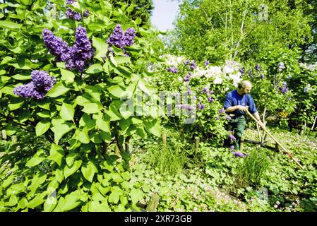 Préparation pour les journées portes ouvertes, Haarlem, pays-Bas, 09-05-2000, Whizgle Dutch News : images historiques sur mesure pour l'avenir. Explorez le passé néerlandais avec des perspectives modernes grâce à des images d'agences néerlandaises. Concilier les événements d'hier avec les perspectives de demain. Embarquez pour un voyage intemporel avec des histoires qui façonnent notre avenir. Banque D'Images