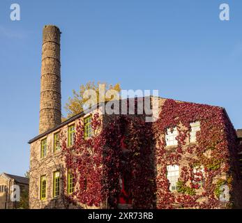 L'extérieur du moulin Hebden Bridge couvert de Virginia Creeper à l'automne. L'ancien moulin est maintenant un café et un point de vente au détail. Pont Hebdon. West Yorkshire Banque D'Images