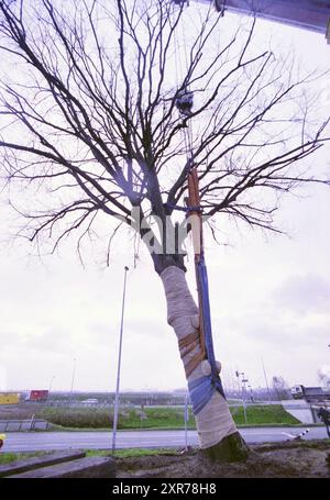 Koningslinde, Vijfhuizen, 20-11-2001, Whizgle Dutch News : des images historiques sur mesure pour l'avenir. Explorez le passé néerlandais avec des perspectives modernes grâce à des images d'agences néerlandaises. Concilier les événements d'hier avec les perspectives de demain. Embarquez pour un voyage intemporel avec des histoires qui façonnent notre avenir. Banque D'Images