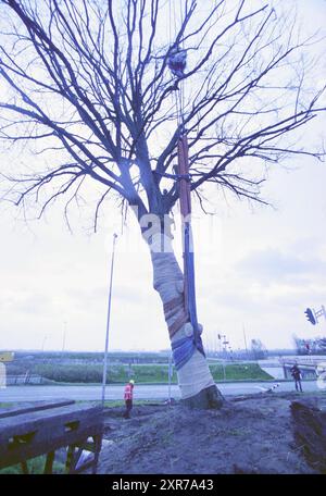 Koningslinde, Vijfhuizen, 20-11-2001, Whizgle Dutch News : des images historiques sur mesure pour l'avenir. Explorez le passé néerlandais avec des perspectives modernes grâce à des images d'agences néerlandaises. Concilier les événements d'hier avec les perspectives de demain. Embarquez pour un voyage intemporel avec des histoires qui façonnent notre avenir. Banque D'Images