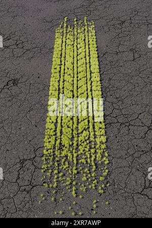 Rendu 3D des marques d'herbe verte vibrante dans le motif des traces de pneu sur une surface d'asphalte gris fissuré. concept d'impact environnemental. Banque D'Images