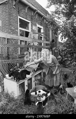 Fun with Cats, de Zilk, Persons, 10-07-1968, Whizgle Dutch News : images historiques sur mesure pour l'avenir. Explorez le passé néerlandais avec des perspectives modernes grâce à des images d'agences néerlandaises. Concilier les événements d'hier avec les perspectives de demain. Embarquez pour un voyage intemporel avec des histoires qui façonnent notre avenir. Banque D'Images