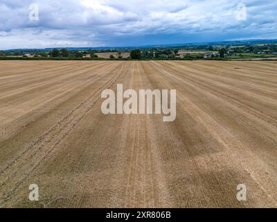 Champ de blé fraîchement récolté avec des lignes de chaume menant à un village au loin Banque D'Images