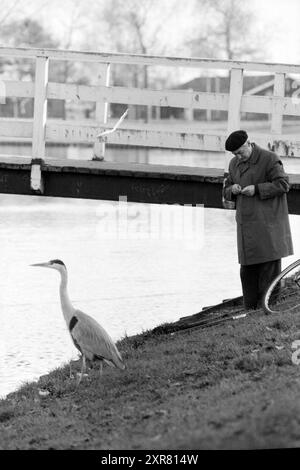 Homme (pêcheur) héron net en attente de poisson, pêche et autres, poissonniers, pêche, 17-11-1986, Whizgle Dutch News : des images historiques sur mesure pour l'avenir. Explorez le passé néerlandais avec des perspectives modernes grâce à des images d'agences néerlandaises. Concilier les événements d'hier avec les perspectives de demain. Embarquez pour un voyage intemporel avec des histoires qui façonnent notre avenir. Banque D'Images