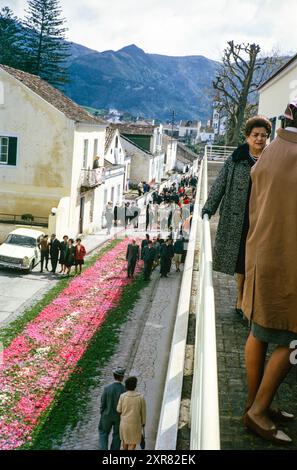 Disposition de plantes et de fleurs pour la procession religieuse de rue, Furnas, île de São Miguel, Açores, Portugal, avril 1964 Banque D'Images