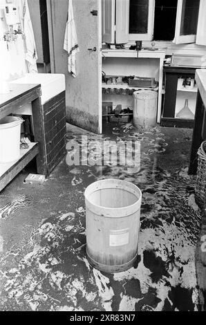 De Boer agence de presse photo inondée, inondations, 28-09-1961, Whizgle Dutch News : images historiques sur mesure pour l'avenir. Explorez le passé néerlandais avec des perspectives modernes grâce à des images d'agences néerlandaises. Concilier les événements d'hier avec les perspectives de demain. Embarquez pour un voyage intemporel avec des histoires qui façonnent notre avenir. Banque D'Images