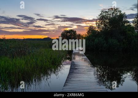 National Take a Hike Day. Journée mondiale du tourisme. Le Sabbat. Jour national du coucher du soleil. Paysage en Estonie Voru avec sentier inondé à travers Meadow en été Banque D'Images