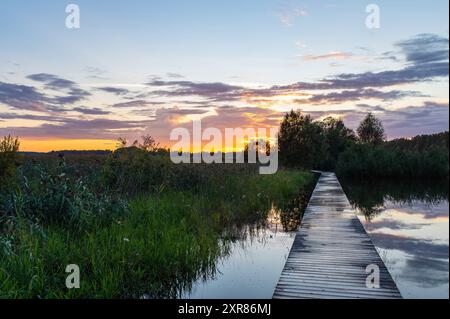 National Take a Hike Day. Journée mondiale du tourisme. Le Sabbat. Jour national du coucher du soleil. Paysage en Estonie Voru avec sentier inondé à travers Meadow en été Banque D'Images