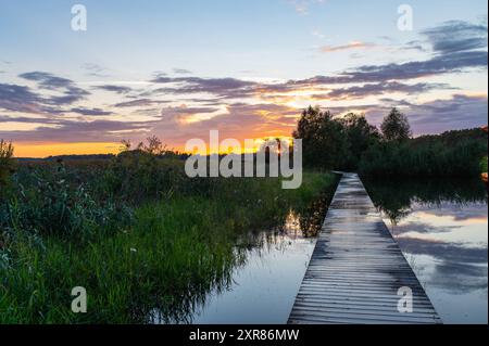 National Take a Hike Day. Journée mondiale du tourisme. Le Sabbat. Jour national du coucher du soleil. Paysage en Estonie Voru avec sentier inondé à travers Meadow en été Banque D'Images