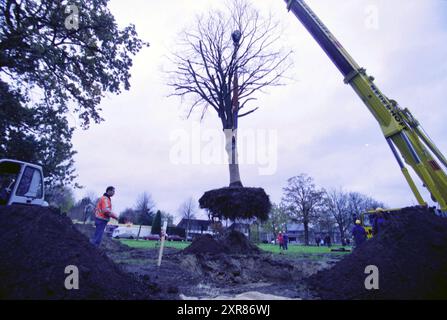 Koningslinde, Vijfhuizen, 20-11-2001, Whizgle Dutch News : des images historiques sur mesure pour l'avenir. Explorez le passé néerlandais avec des perspectives modernes grâce à des images d'agences néerlandaises. Concilier les événements d'hier avec les perspectives de demain. Embarquez pour un voyage intemporel avec des histoires qui façonnent notre avenir. Banque D'Images