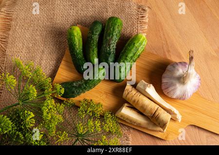 Préparation pour la fermentation des concombres par un procédé de marinage appelé fermentation lactique. De tels concombres fermentés ont une longue durée de conservation et le sont Banque D'Images