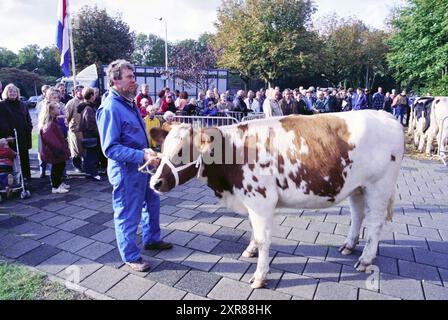 Pinkenveiling, Santpoort, Santpoort, 10-10-1997, Whizgle Dutch News : des images historiques sur mesure pour l'avenir. Explorez le passé néerlandais avec des perspectives modernes grâce à des images d'agences néerlandaises. Concilier les événements d'hier avec les perspectives de demain. Embarquez pour un voyage intemporel avec des histoires qui façonnent notre avenir. Banque D'Images