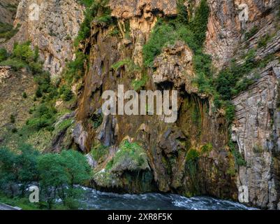 Vue aérienne des gorges de Collegats et de la formation rocheuse de L'Argenteria (Pallars Sobirà, Lleida, Catalogne, Espagne, Pyrénées) Banque D'Images