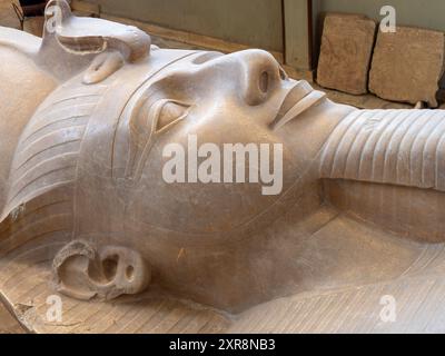 Le colosse de la statue de Ramsès II sculpté dans la pierre siliceuse 10 mètres lon musée au MIT Rahina Memphis Egypte Banque D'Images