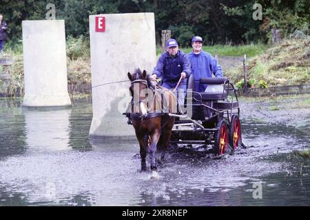 Animal Ambulance fournit une assistance au chien blessé, 06-10-2000','06-10-2001, Whizgle Dutch News : images historiques adaptées pour l'avenir. Explorez le passé néerlandais avec des perspectives modernes grâce à des images d'agences néerlandaises. Concilier les événements d'hier avec les perspectives de demain. Embarquez pour un voyage intemporel avec des histoires qui façonnent notre avenir. Banque D'Images