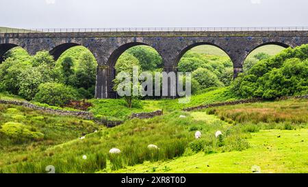 Viaduc et moutons dans les fermes du Yorkshire Dales National Park, North Yorkshire, Angleterre Banque D'Images