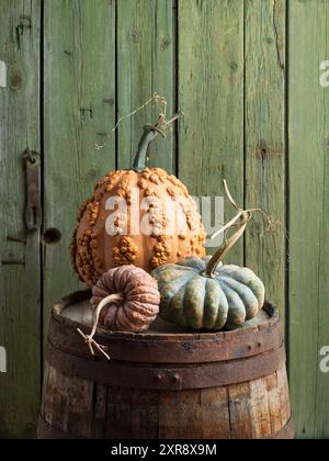 Nature morte avec Musquee de Maroc, Black Futsu et Chinese Butternut Pumpkins sur un tonneau en bois rustique Banque D'Images