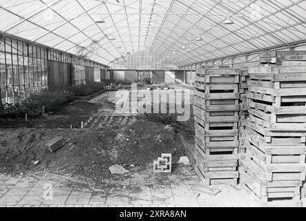 Vue d'ensemble de la serre végétale Keukenhof + Keukenhof, domaine de la Fondation Keukenhof à lisse, 27-02-1975, Whizgle Dutch News : images historiques adaptées pour l'avenir. Explorez le passé néerlandais avec des perspectives modernes grâce à des images d'agences néerlandaises. Concilier les événements d'hier avec les perspectives de demain. Embarquez pour un voyage intemporel avec des histoires qui façonnent notre avenir. Banque D'Images